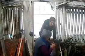 Delincuente llegó pidiendo agua: adulta mayor es engañada y sufre indignante asalto