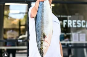 Crítica gastronómica de Don Tinto: Con Agallas, más fresco que una hawaiana