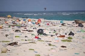 Economía circular de los plásticos: el salvavidas para los océanos