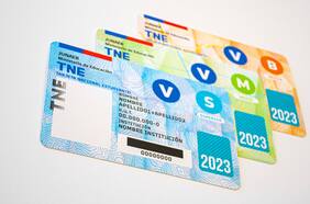 Tarjeta Nacional Estudiantil (TNE): cuál es el plazo para renovarla