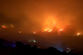 Incendio forestal avanzó durante la noche y ya son casi 350 hectáreas consumidas por el fuego