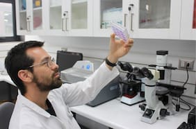 La historia de cómo un científico chileno logró clonar un virus aviar