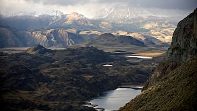 Cien años de parques nacionales en Chile: el balance de un siglo de conservación