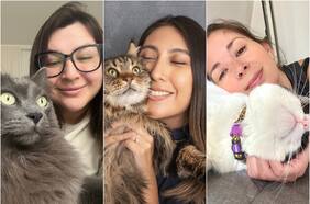 Radiografía al mundo de catsitters: las personas que cuidan gatos cuando sus dueños no están