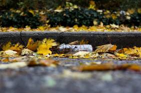 ¿Cómo podemos avanzar hacia un mundo sin residuos?