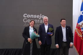 Seguridad, familia y un “Estado al servicio de las personas”: las definiciones de republicanos en su Consejo General