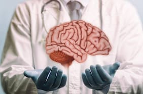 Este antioxidante natural mejora el deterioro cognitivo y la salud del cerebro al envejecer