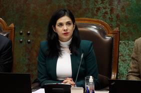 Cariola (PC) acusa a ministro Pardow de no entregar información precisa sobre alza de tarifas eléctricas