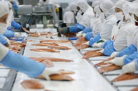 Países de destino de salmón chileno reducen sus compras y profundizan baja en los precios