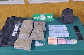 Eludieron control policial y chocaron contra un árbol: detienen a pareja por tráfico de drogas en Los Ríos