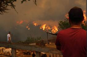 Idea de un registro nacional de pirómanos toma fuerza: el silencioso avance de Minagri para crear un proyecto de ley