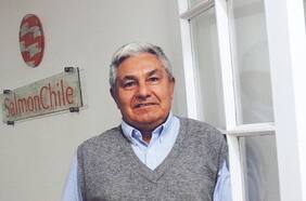 Arturo Clement, de Salmonchile: “Este año, el mayor impacto va a ser los bajos precios a los que estamos vendiendo”