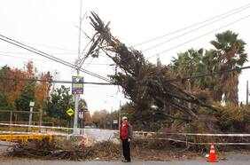 ¿Por qué se corta la luz en Santiago cuando hay vientos fuertes?