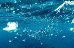 Investigador advierte sobre contaminantes emergentes y propone soluciones de radiación solar y trazabilidad