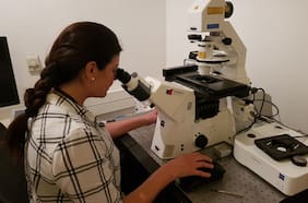 Uno de cada dos científicos jóvenes en Chile tiene otro trabajo para llegar a fin de mes