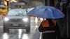 Anuncian cuatro nuevos sistemas frontales para esta semana: por dónde dejarán lluvia, según el tiempo