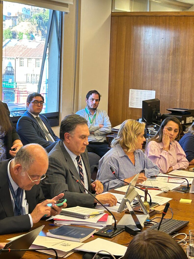 Emiliano Salvo, comisión Monsalve