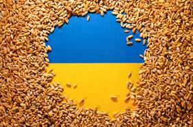 Columna de Josep Borrell Fontelles: Rusia debe dejar de usar el alimento como arma