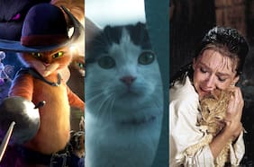 Día del gato: los 10 felinos más icónicos de la pantalla (y dónde verlos)