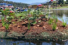 Humedales artificiales: la gran solución frente a la sequía y la contaminación de lagos y lagunas en Chile