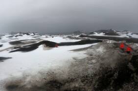 La bitácora del doctor Hofer: Día 14, destellos de perfecta felicidad