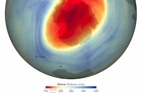 Columna de Claudia Paratori: La capa de ozono y el comienzo del verano