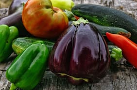 Clase Abierta: Huerto casero