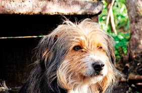 Revista Paula, la más premiada de MAGs 2014