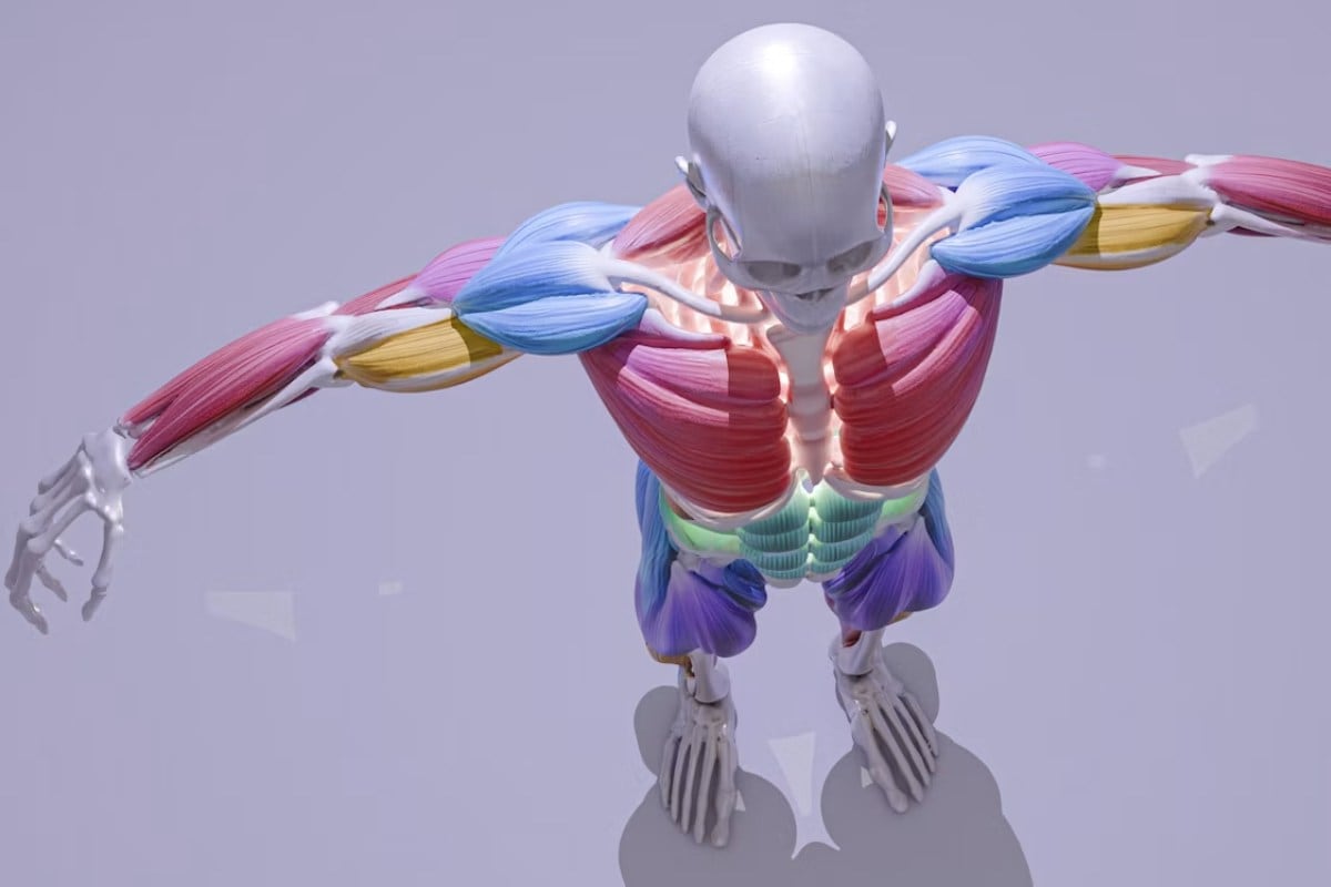 Cuánta proteína puede realmente absorber el cuerpo en cada comida: esto reveló un estudio
