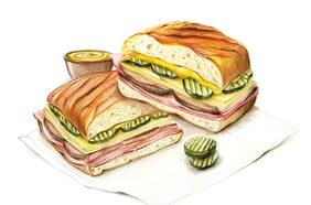 Mi cubanito en Florida, mi medianoche en Miami