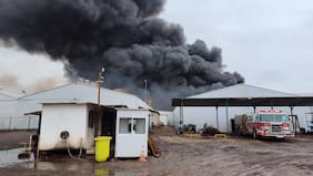 Incendio afecta bodega de empresa agrícola en El Monte