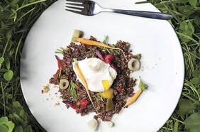 Quínoa roja con vegetales, queso de cabra y huevo pochado