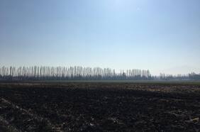 Columna de Iván Poduje: El extraño caso del hospital de la zona norte