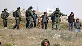 Embajador de EE.UU. en Israel califica de “terrorismo” el acoso de colonos a palestinos en Cisjordania