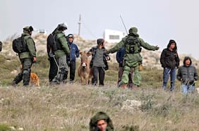 Embajador de EE.UU. en Israel califica de “terrorismo” el acoso de colonos a palestinos en Cisjordania