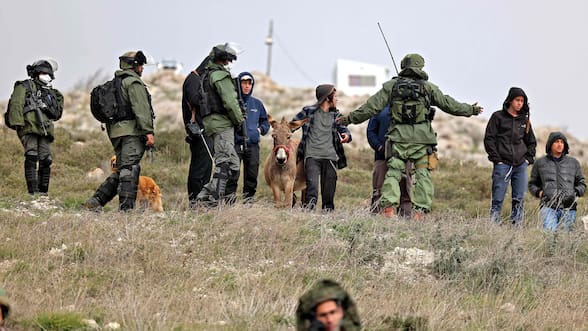 Embajador de EE.UU. en Israel califica de “terrorismo” el acoso de colonos a palestinos en Cisjordania