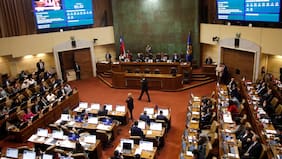 Partió como una moción de senadores RN: cómo se articuló el primer triunfo de la agenda ACOT del gobierno