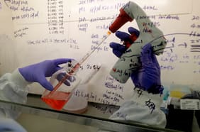 Suspensión de programa Becas Chile enardece a científicos y ministro Couve reconoce que fue “una decisión muy difícil”