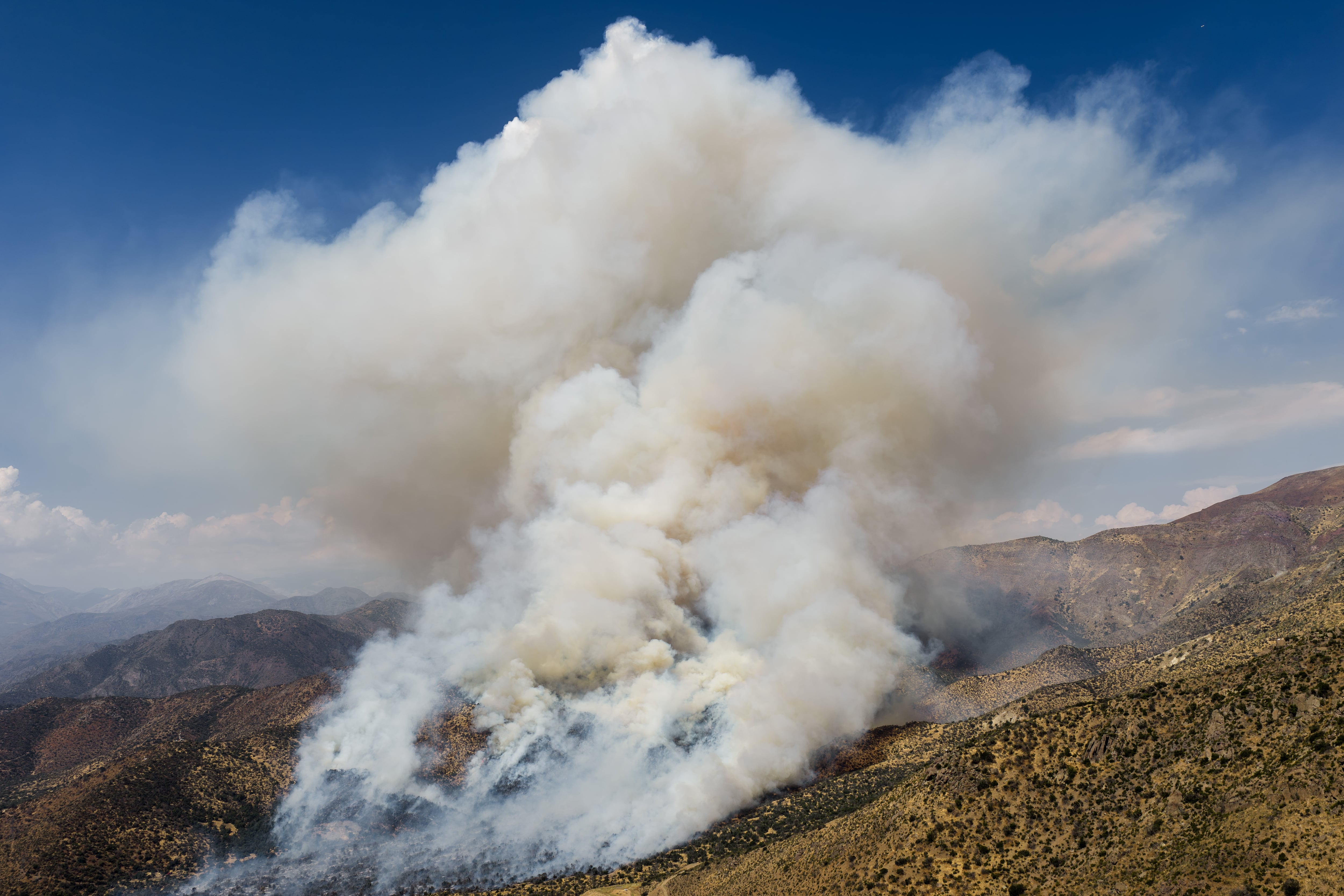 Expertos advierten: Incendios forestales en Chile son resultado de crisis climática y falta de ordenamiento territorial