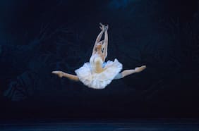 Obras, charlas y talleres en línea celebrarán el Día de la Danza 2021