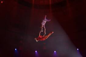 El instante en que una trapecista cayó al vacío y murió en medio de show circense