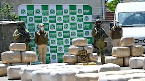 Carabineros incauta más de 37 mil plantas y más de 1,2 toneladas de marihuana procesada