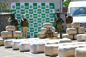 Carabineros incauta más de 37 mil plantas y más de 1,2 toneladas de marihuana procesada