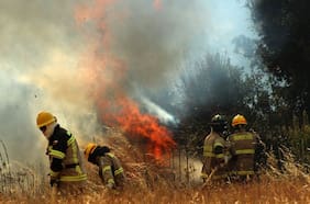 ¿Qué es el Botón Rojo que activó Conaf en seis regiones del país?