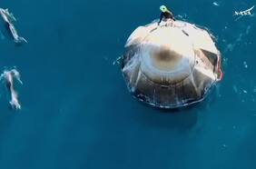 Grupo de delfines acompañaron el regreso de los astronautas de la NASA varados en el espacio