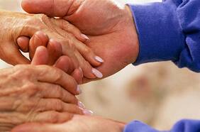 Killifish, el exótico pez africano que está ayudando a científicos chilenos a estudiar el Parkinson