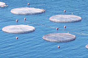 Superintendencia mirando al sudeste