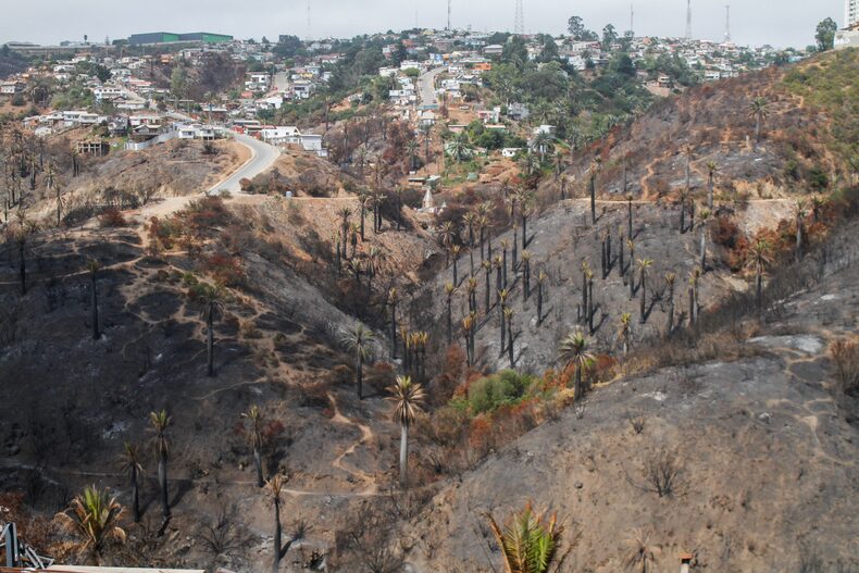 Reconstruccion de viviendas afectadas por el Mega incendio ocurrido en viña del mar. 03/02/23