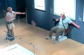 ¿Qué pasa si un visitante daña una pieza en un museo en Chile? los protocolos y las sanciones que establece la ley