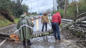 Paso de frente de mal tiempo por zona centro-sur del país deja 29 damnificados y 15 inmuebles con daño mayor